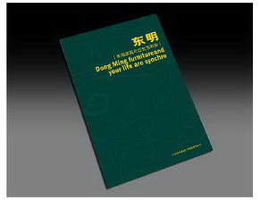 石家莊專業(yè)設(shè)計(jì)服務(wù) 從品牌形象到視覺(jué)傳達(dá)的一站式解決方案